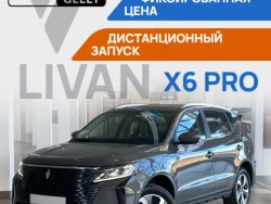 Livan X6 Pro, 2024 29
