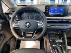 Livan X3 Pro, 2024 27